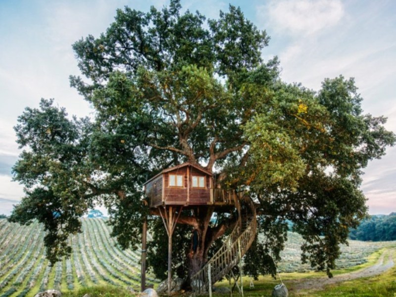 Le cose dell’amore