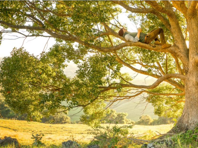 L’illusione delle scorciatoie