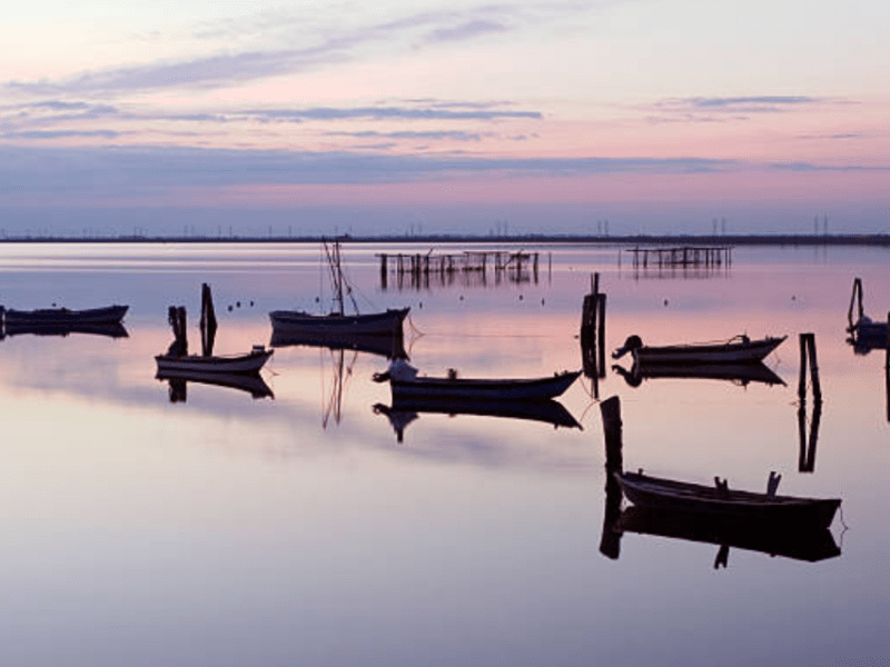 Rinascere dall’acqua