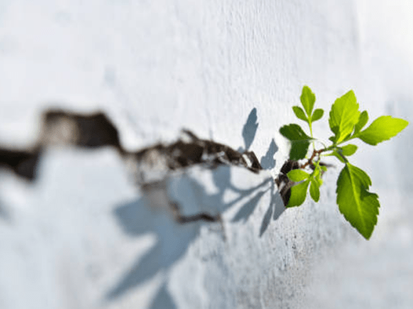 Ambiguità, controllo e adattamento: perché non possiamo evitare l’incertezza (e forse non&nbsp;dovremmo)